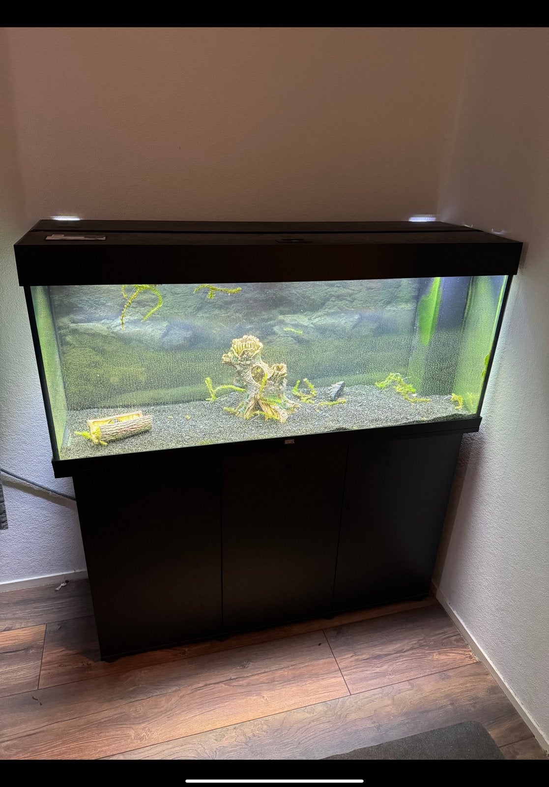 Juwel Aquarium Rio 240 Led 121x41x50 cm -met Juwel onderkast, Dieren en Toebehoren, Ophalen, Zo goed als nieuw, Leeg aquarium