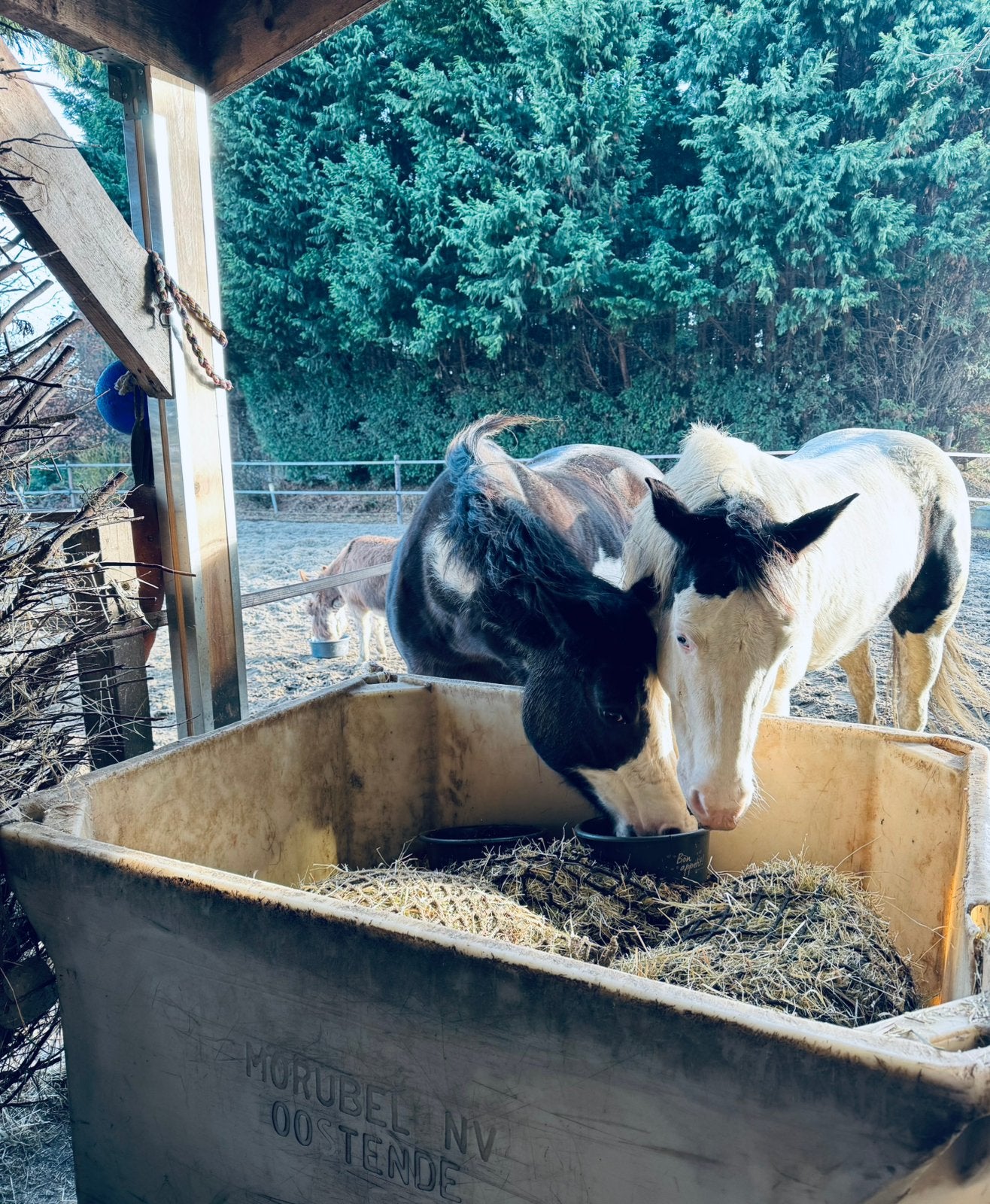 Slowfeeder / zware bak, Ophalen
