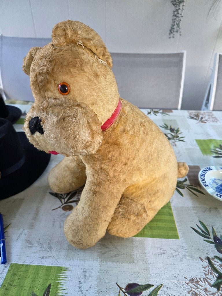 Teddy hond, Ophalen of Verzenden, Gebruikt, Stoffen beer, Overige merken