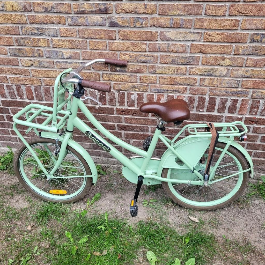 Meisjesfiets Popal transporter 24 inch mintgroen, Ophalen, Terugtraprem, Popal transport fiets, Handrem