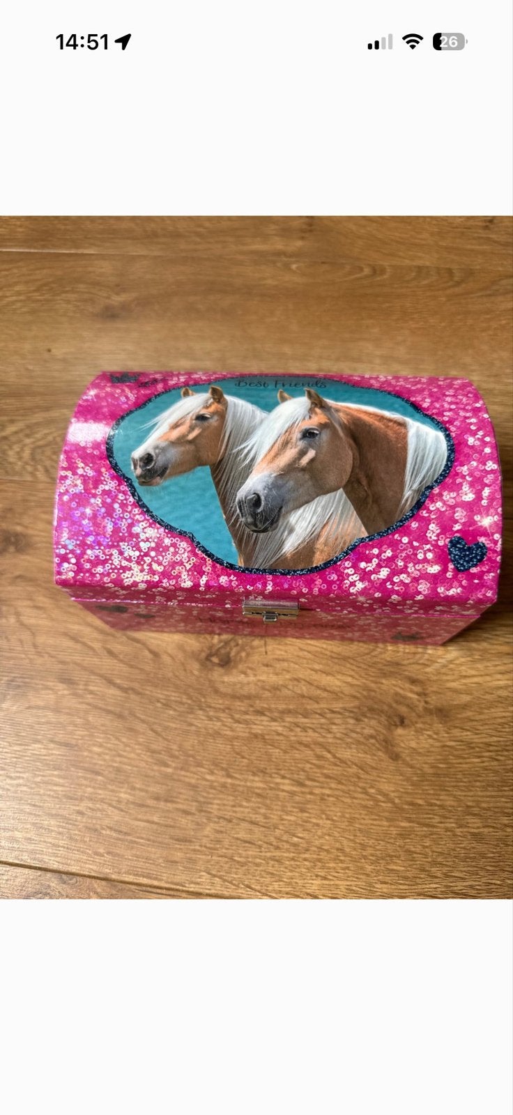 Miss Melody Sieradendoosje met paarden en lade, Ophalen of Verzenden, Gebruikt, Roze, Hardcase