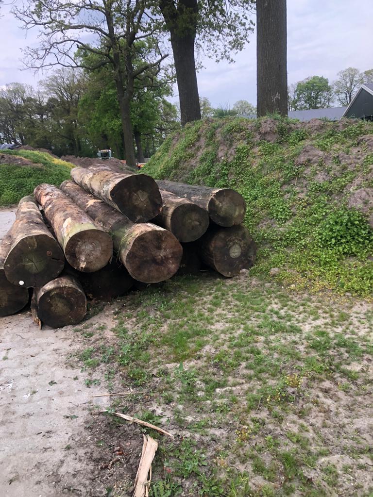 7 stuks douglas, Tuin en Terras, Haardhout, Minder dan 3 m³, Ophalen of Verzenden, Stammen