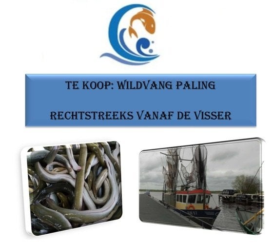Verse wildvang, IJsselmeer Paling (rook, stoof & bak), Ophalen