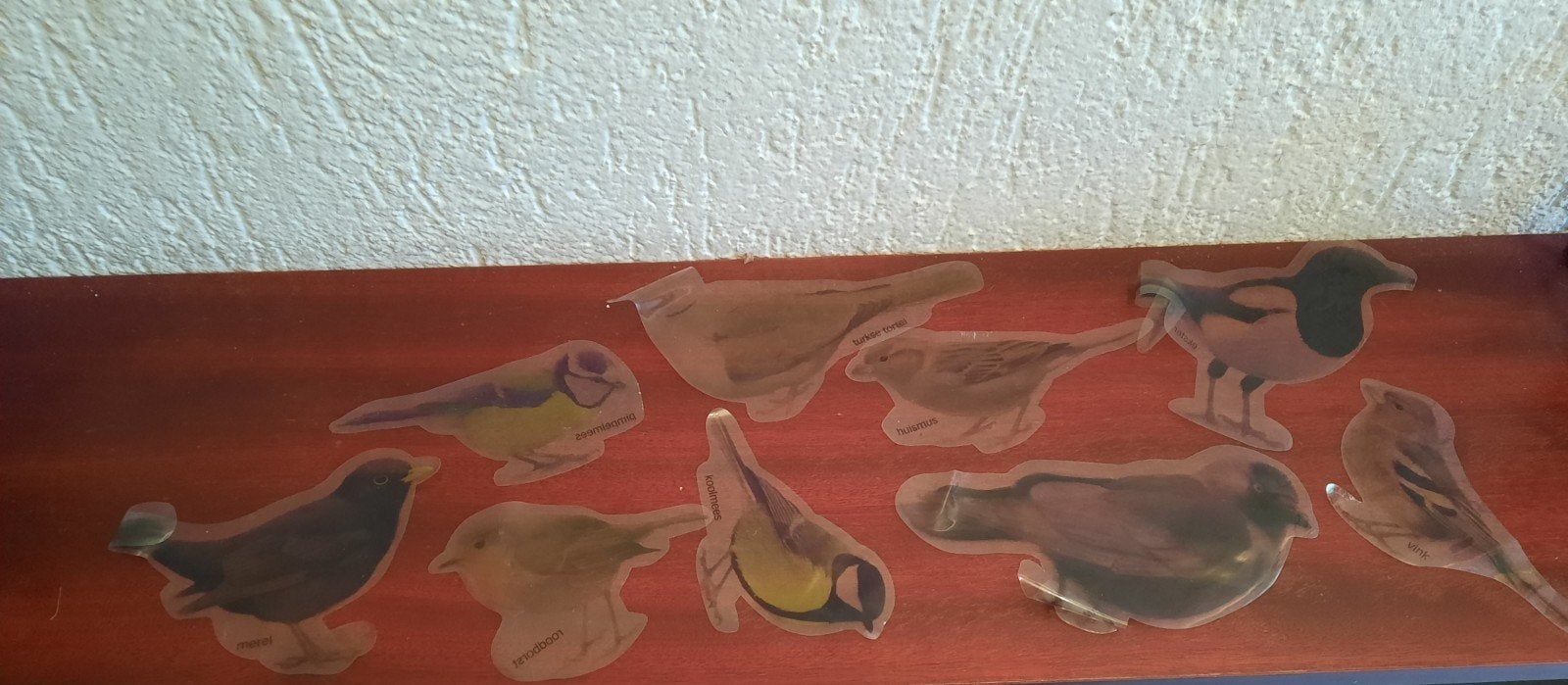 Vogels voor op de ramen decoratie, Ophalen of Verzenden, Gebruikt
