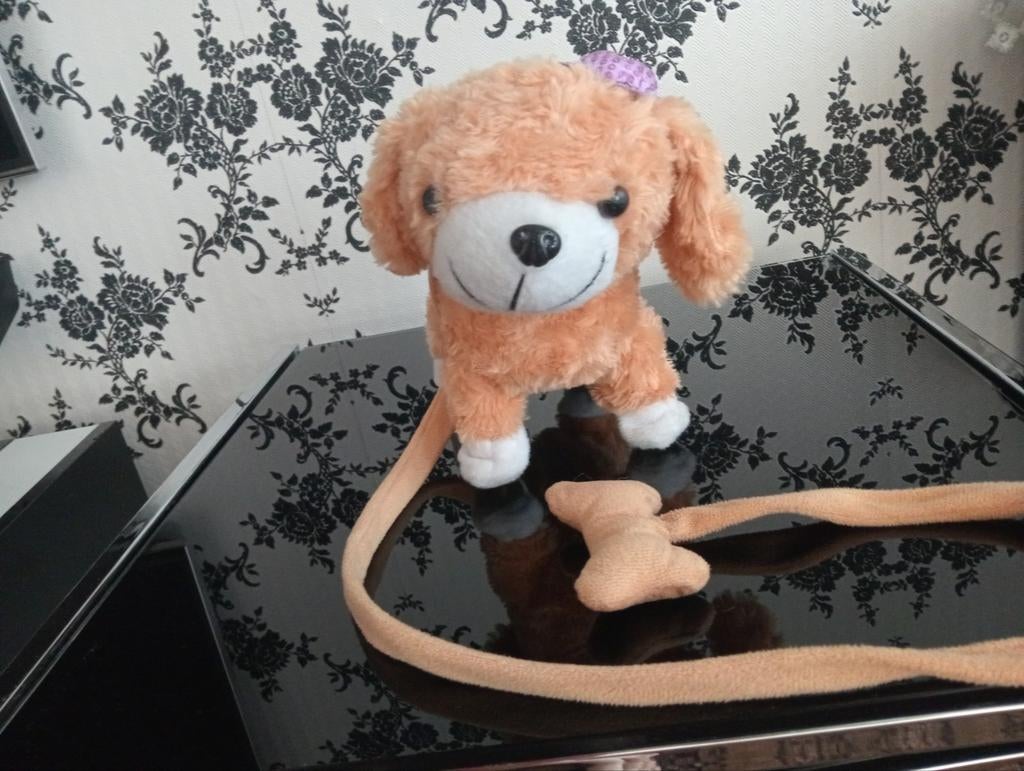 Interactief zingend speelgoed hondje met paars hoedje, Ophalen, Zo goed als nieuw
