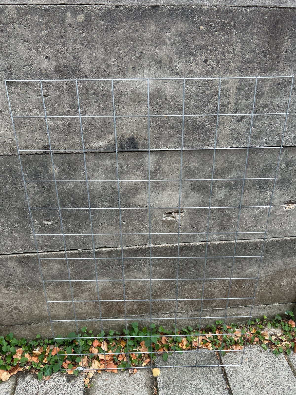 Tomaten Klimrek 120x80 cm - Stevig en Duurzaam, Tuin en Terras, Ophalen, Bloeit niet, Fruitplanten