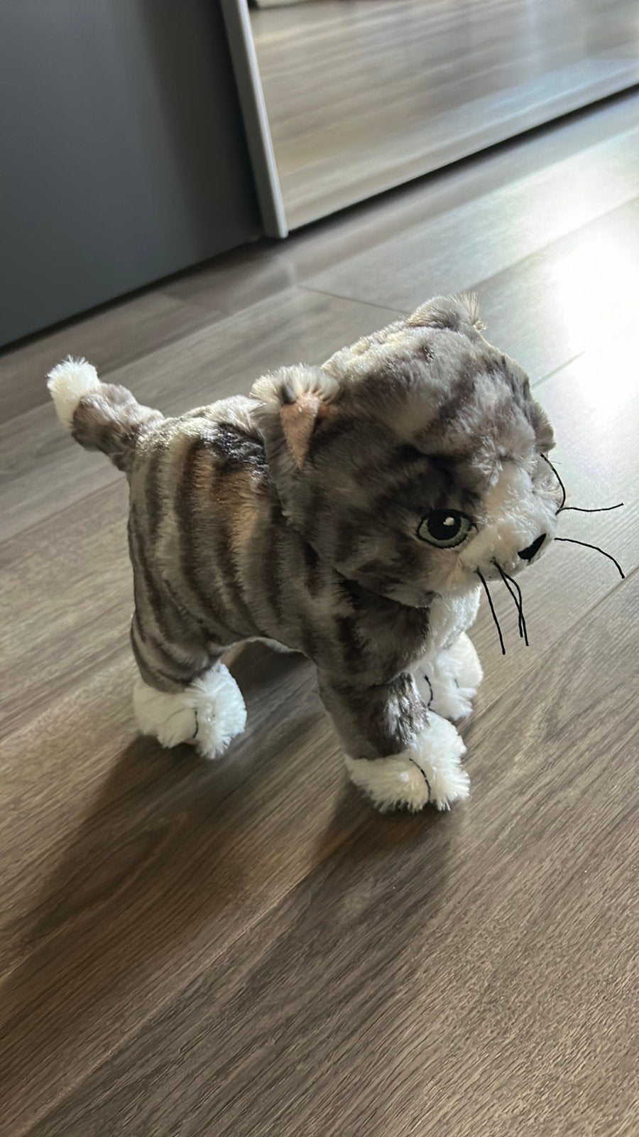 Knuffel kat, Ophalen of Verzenden, Nieuw