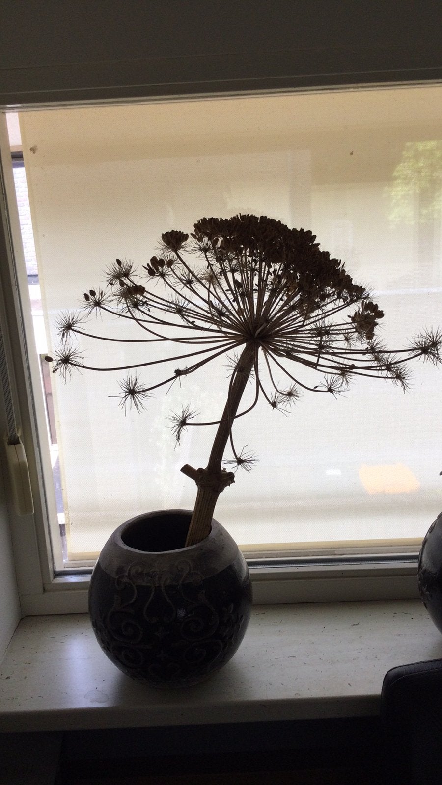 Droogbloemen. (2), Ophalen of Verzenden, Zo goed als nieuw