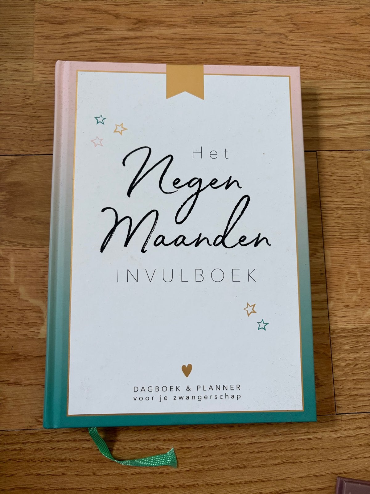 Het Negen Maanden Invulboek - Dagboek & Planner Zwangerschap, Boeken, Ophalen of Verzenden, Nieuw, Zwangerschap en Bevalling