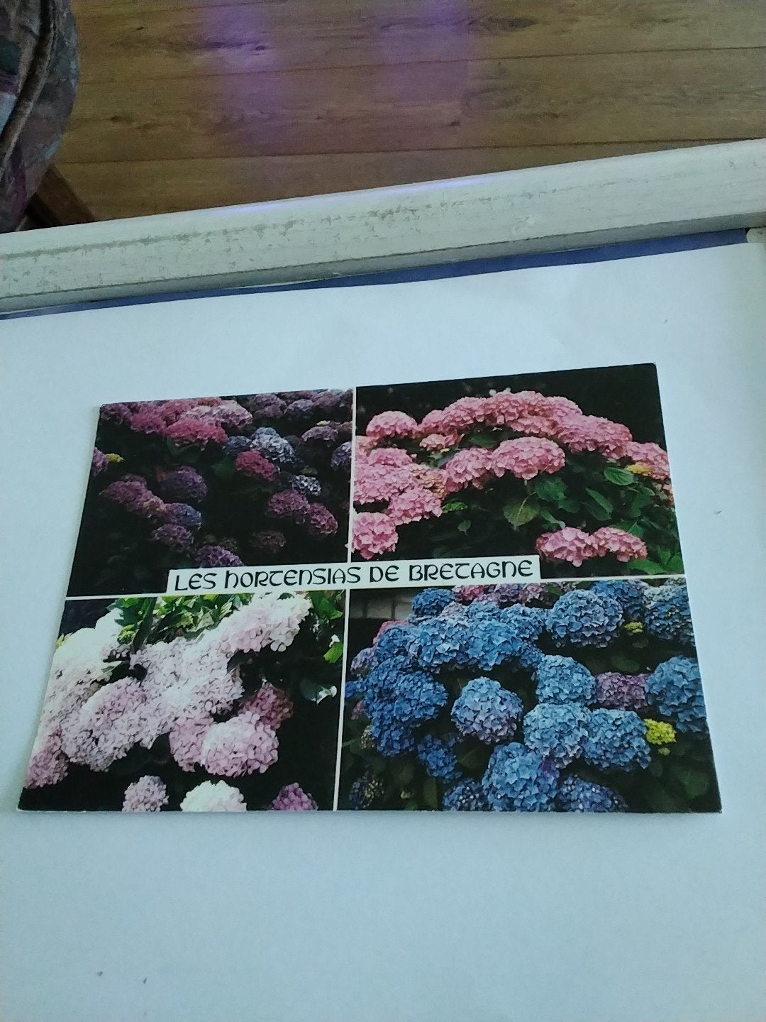 LES HORTENSIAS DE BRETAGNE, Ophalen of Verzenden, Overige thema's