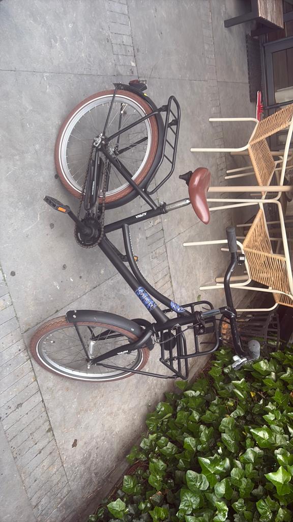 Alpina cario kinder fiets, Minder dan 47 cm, Ophalen of Verzenden, Zo goed als nieuw