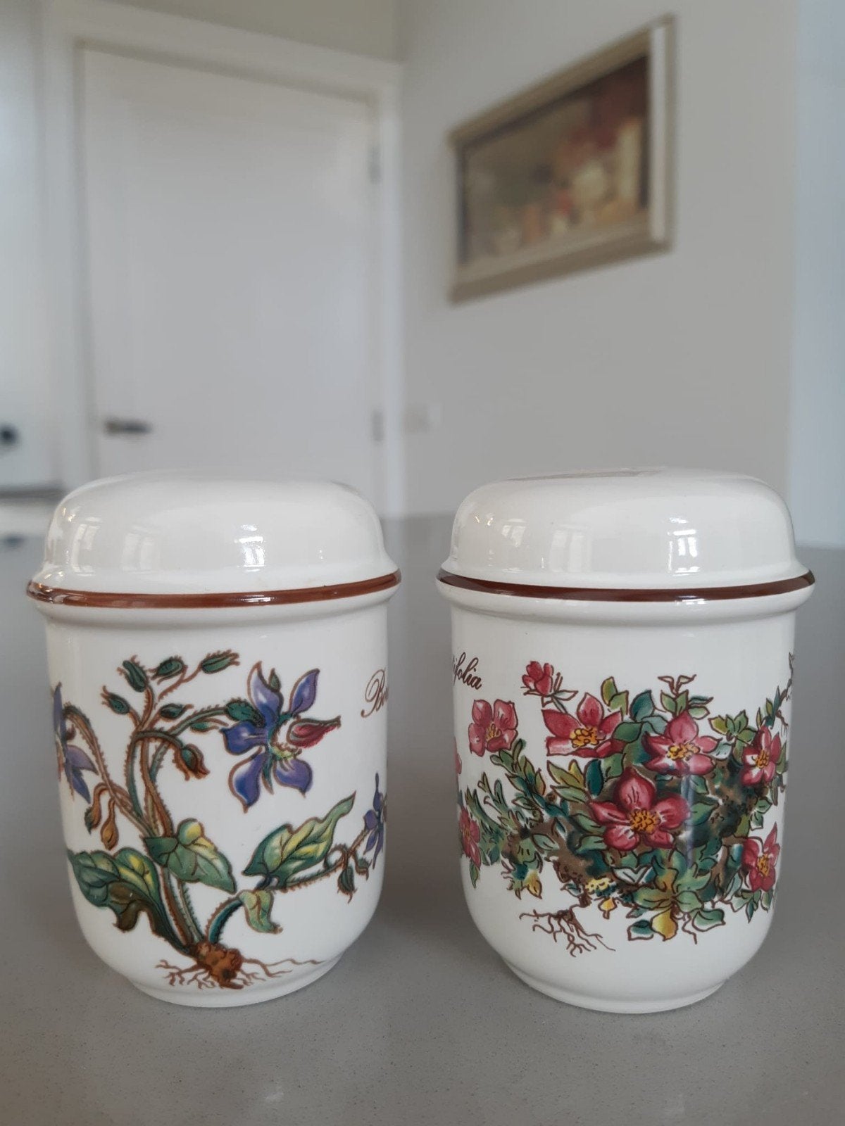 Peper- en Zoutvaatje Villeroy en Boch Botanica, Overige typen, Ophalen of Verzenden, Zo goed als nieuw, Overige stijlen