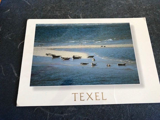 Texel, Ophalen of Verzenden, Voor 1920, Ongelopen, Waddeneilanden