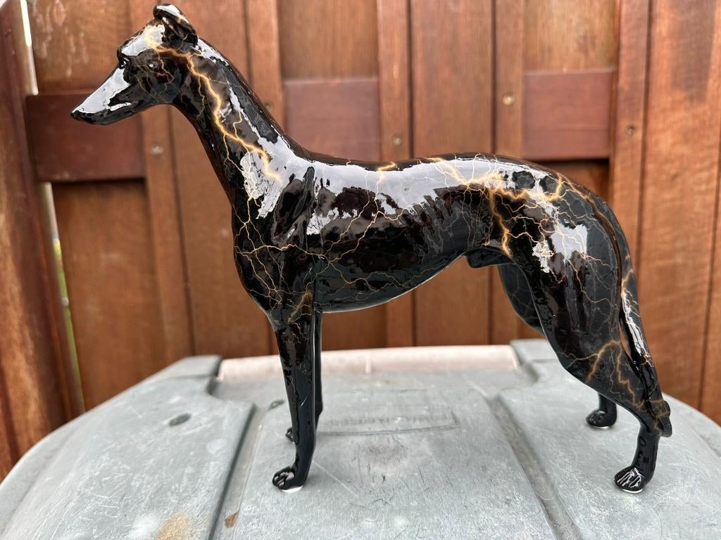 zwarte gemaleerd windhond hazewindhond whippet, Ophalen of Verzenden