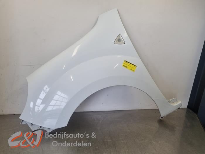 Scherm links-voor van een Renault Kangoo (0389)