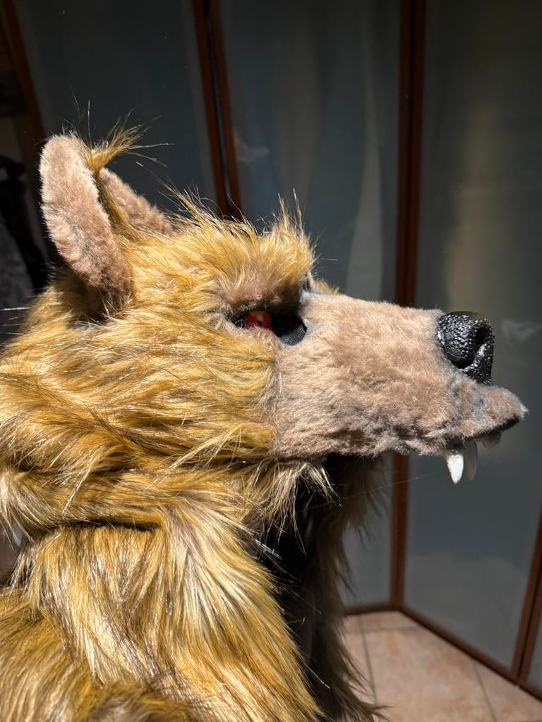 Viking berenmuts, carnaval/cosplay, Kleding | Heren, Carnavalskleding en Feestkleding, Zo goed als nieuw, Accessoires, Historisch