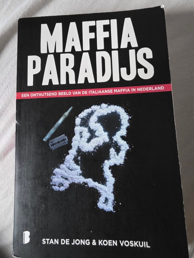 Maffia Paradijs - Stan de Jong & Koen Voskuil, Boeken, Ophalen of Verzenden, Zo goed als nieuw, Stan de Jong & Koen Voskuil, Politiek