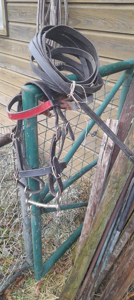 mini pony's tuig, Dieren en Toebehoren, Ophalen, Gebruikt, Overige soorten