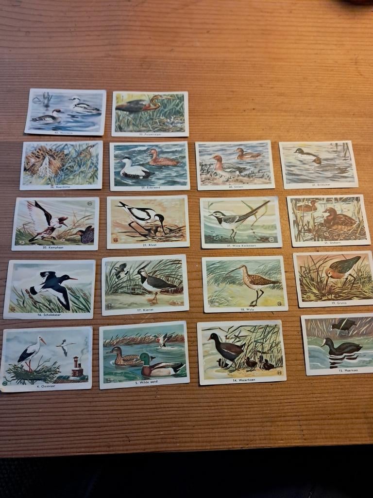 Rizzla vogelplaatjes, Ophalen, Nederland