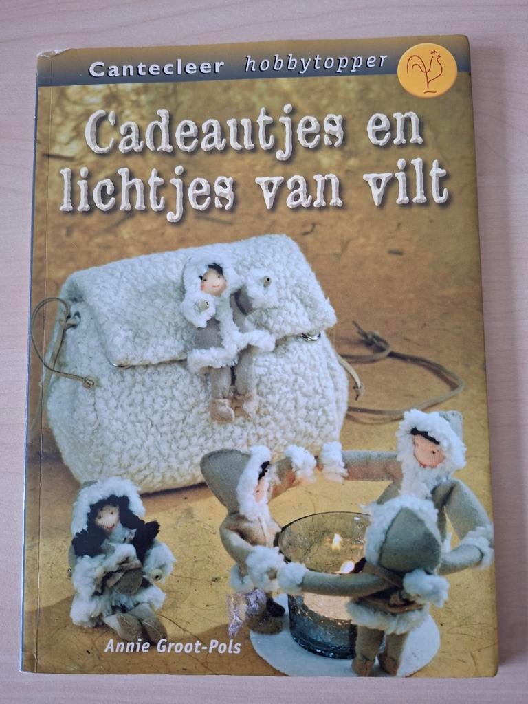 Cadeautjes en lichtjes van vilt - Hobbyboek, Ophalen of Verzenden, Zo goed als nieuw, Boek of Patroon, Wolvilt