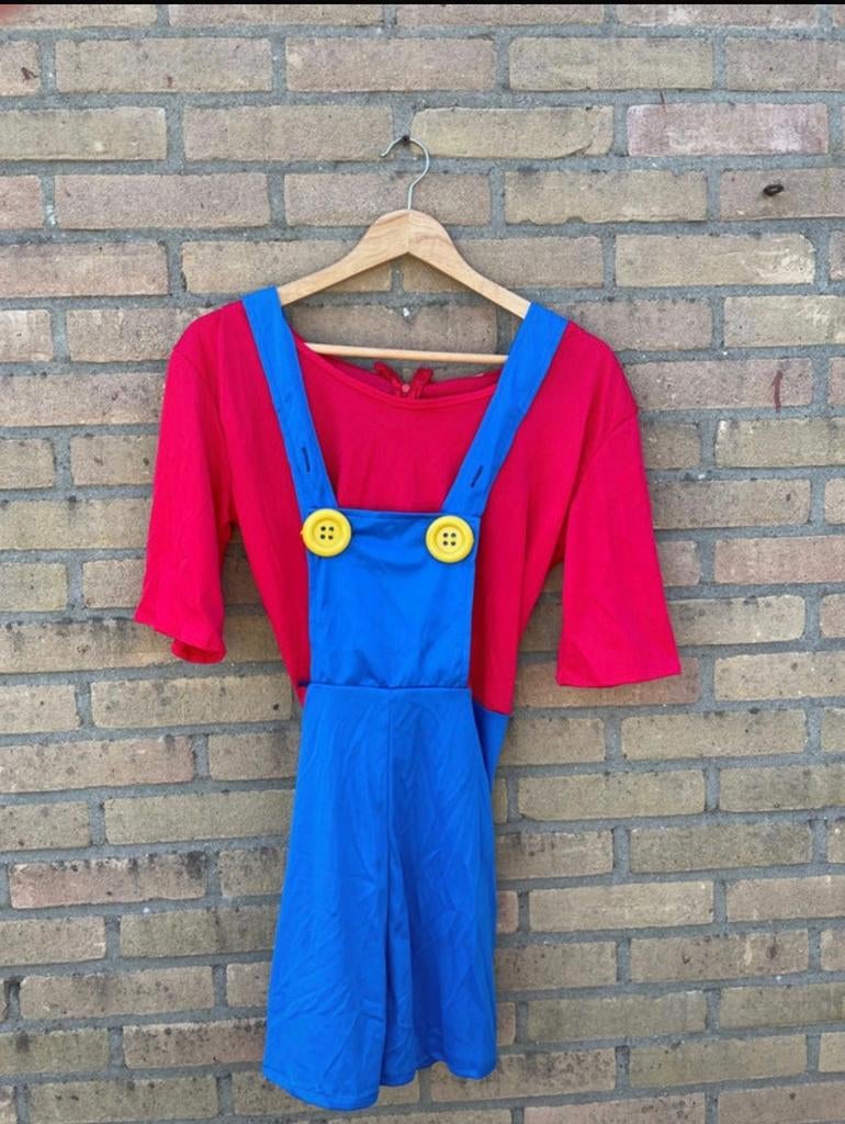 Mario en Luigi carnavalskleding, Ophalen of Verzenden, Gedragen, Maat 42/44 (L), Carnaval