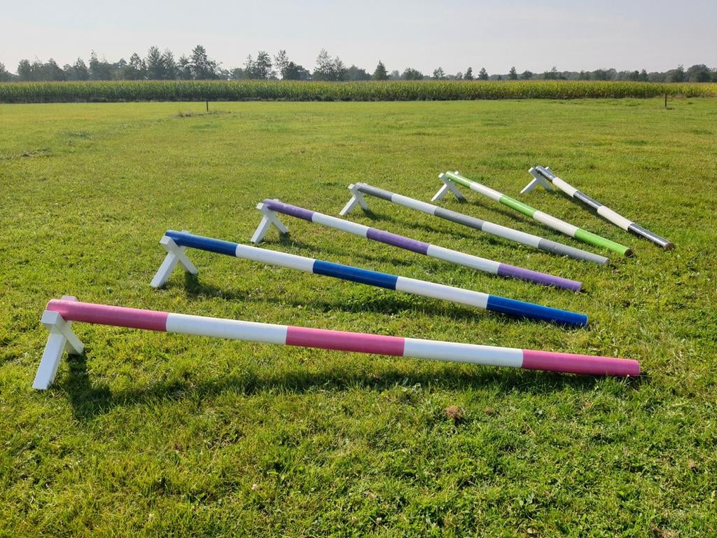 Cavaletti kruisjes, wipwap en hindernismateriaal, Ophalen of Verzenden, Nieuw, Overige soorten