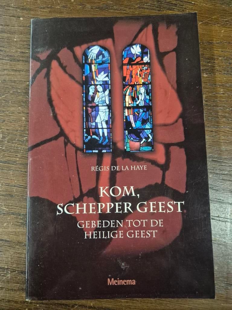 Kom Schepper Geest - Régis de la Haye, Boeken, Régis de la Haye, Christendom | Katholiek, Ophalen of Verzenden, Zo goed als nieuw