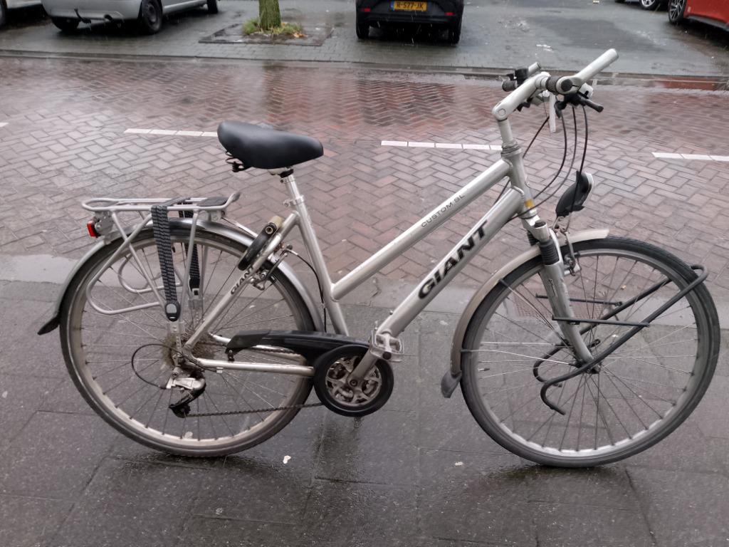 Giant Custom SL d50 damesfiets /tourfiets, Ophalen, Gebruikt, 47 tot 50 cm, Versnellingen