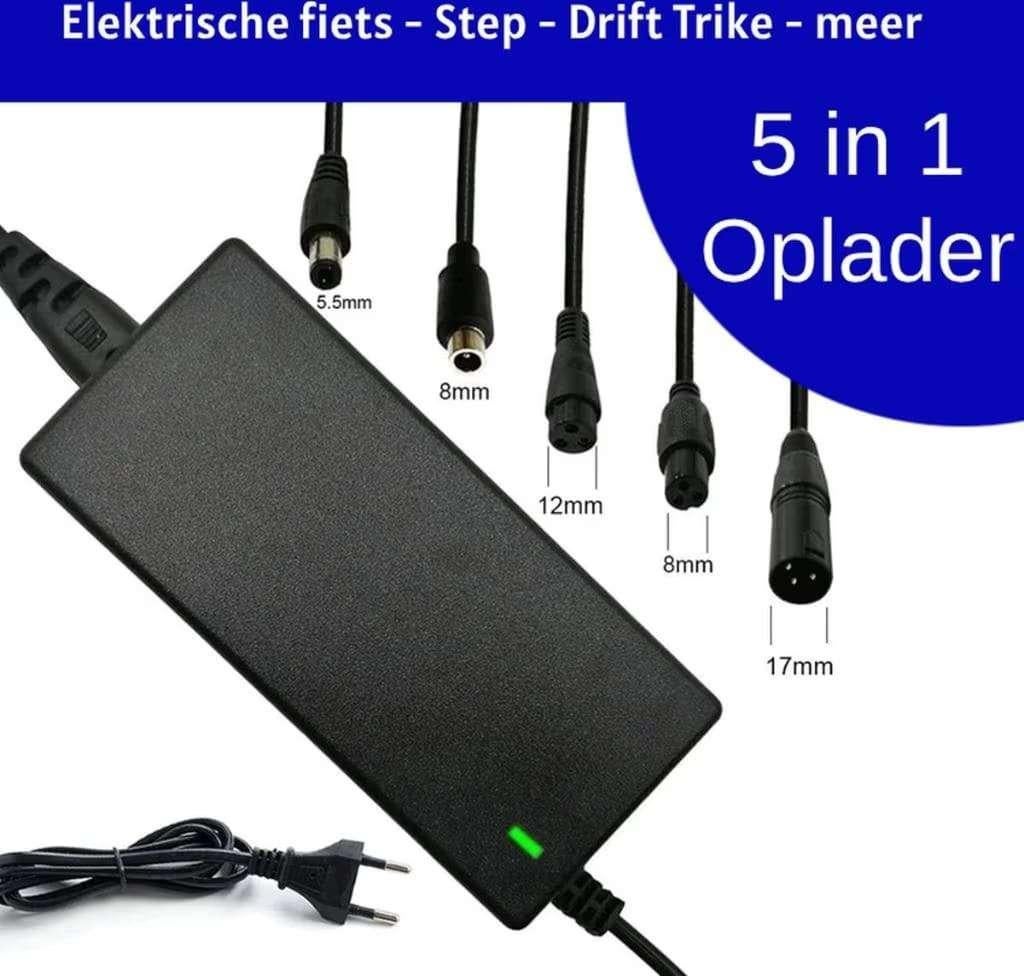 12v 36 v48 v Oplader voor scooter e-scooter, Ophalen of Verzenden, Nieuw