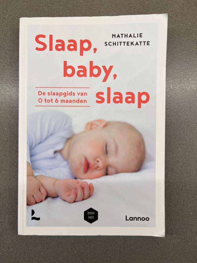 Slaap, baby, slaap - Slaapgids 0-6 maanden, Boeken, Zwangerschap en Opvoeding, Ophalen of Verzenden, Zo goed als nieuw, Zwangerschap en Bevalling