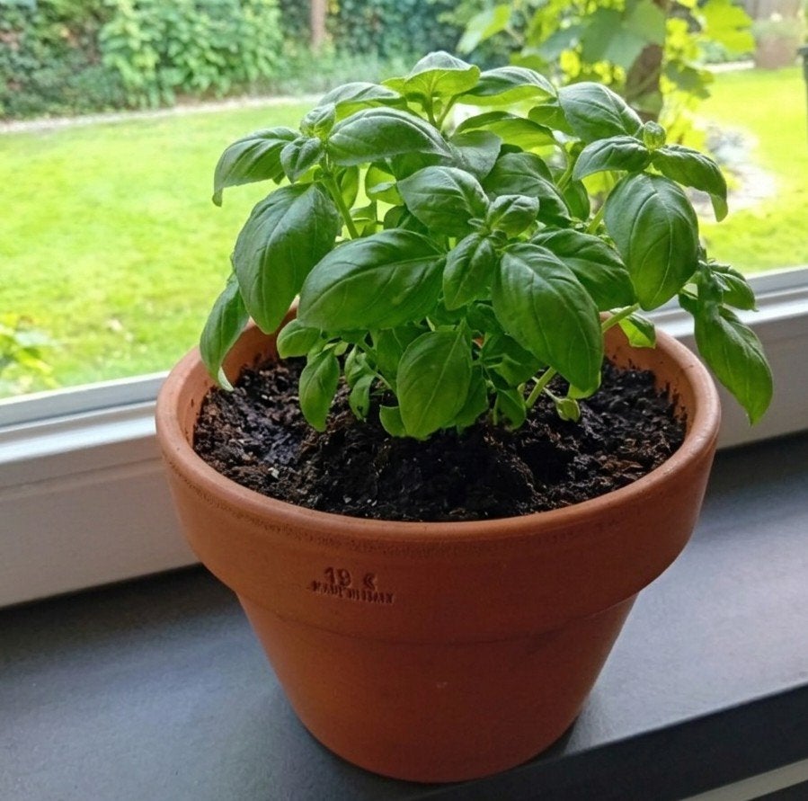Klassieke Italiaanse terracotta bloempot voor binnen Ø19 cm, Rond, Binnen, Ophalen of Verzenden, Zo goed als nieuw