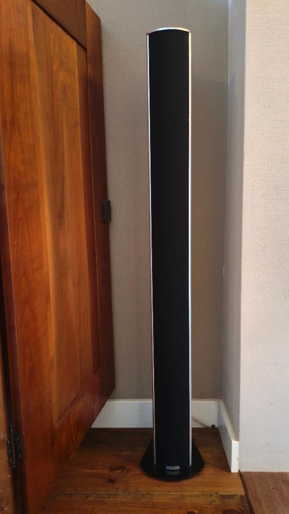 PIEGA S4 Vloerstaande Speakers – Swiss Made Design, Audio, Tv en Foto, Gebruikt, 120 watt of meer, Front, Rear of Stereo speakers