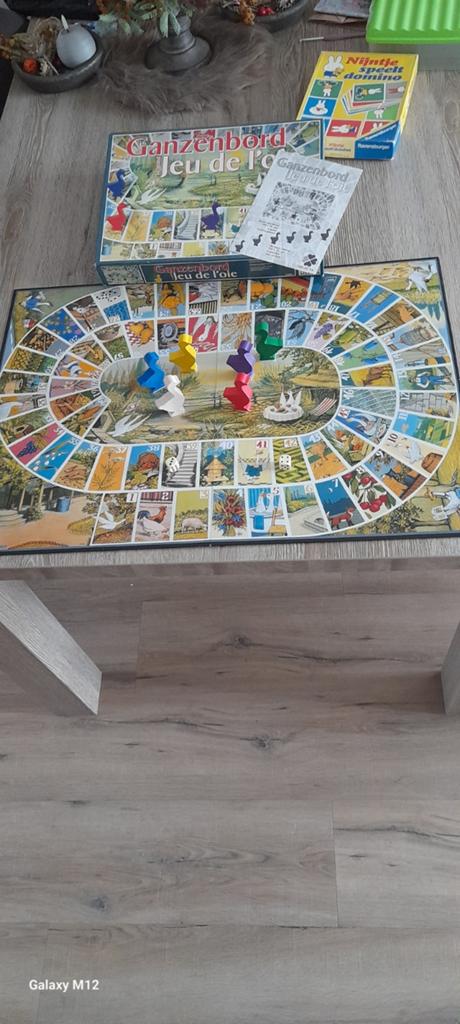 Ganze bord spel  groot, Ophalen of Verzenden, Zo goed als nieuw