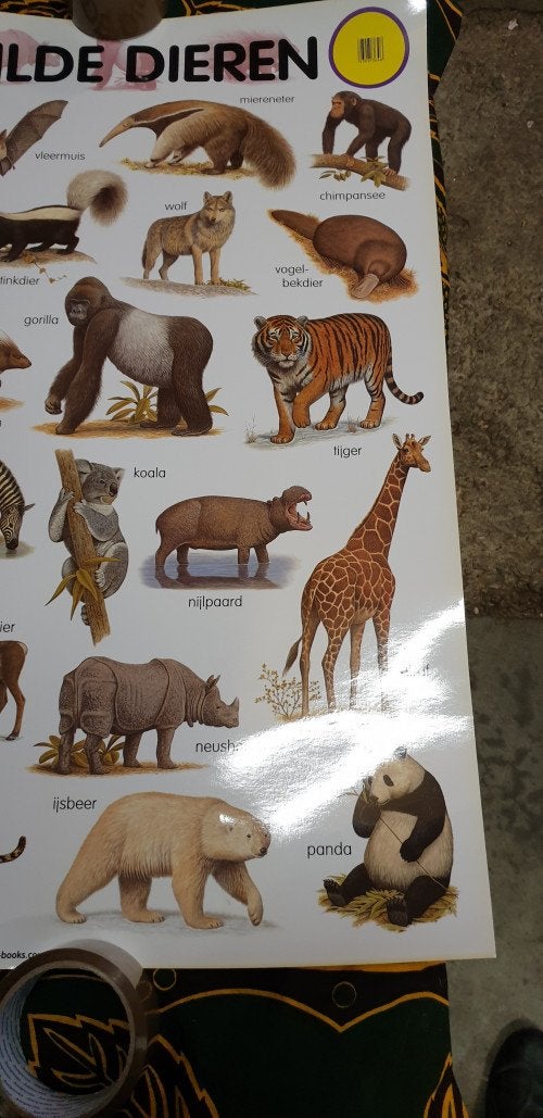 poster e-c-p wilde dieren, Ophalen of Verzenden, 'T Olde Gre-j, Info@toldegrej.nl, Endepoelstraat 20f Didam