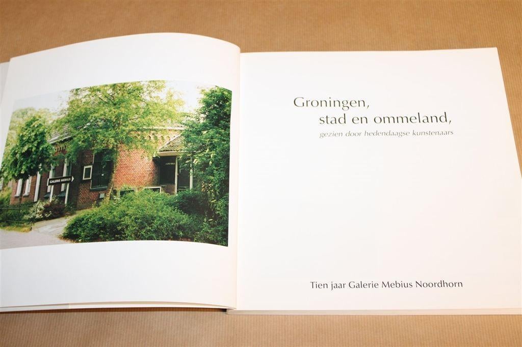 Groningen, Stad en Ommeland — Hedendaagse Kunstenaars, Boeken, Ophalen of Verzenden, Zo goed als nieuw