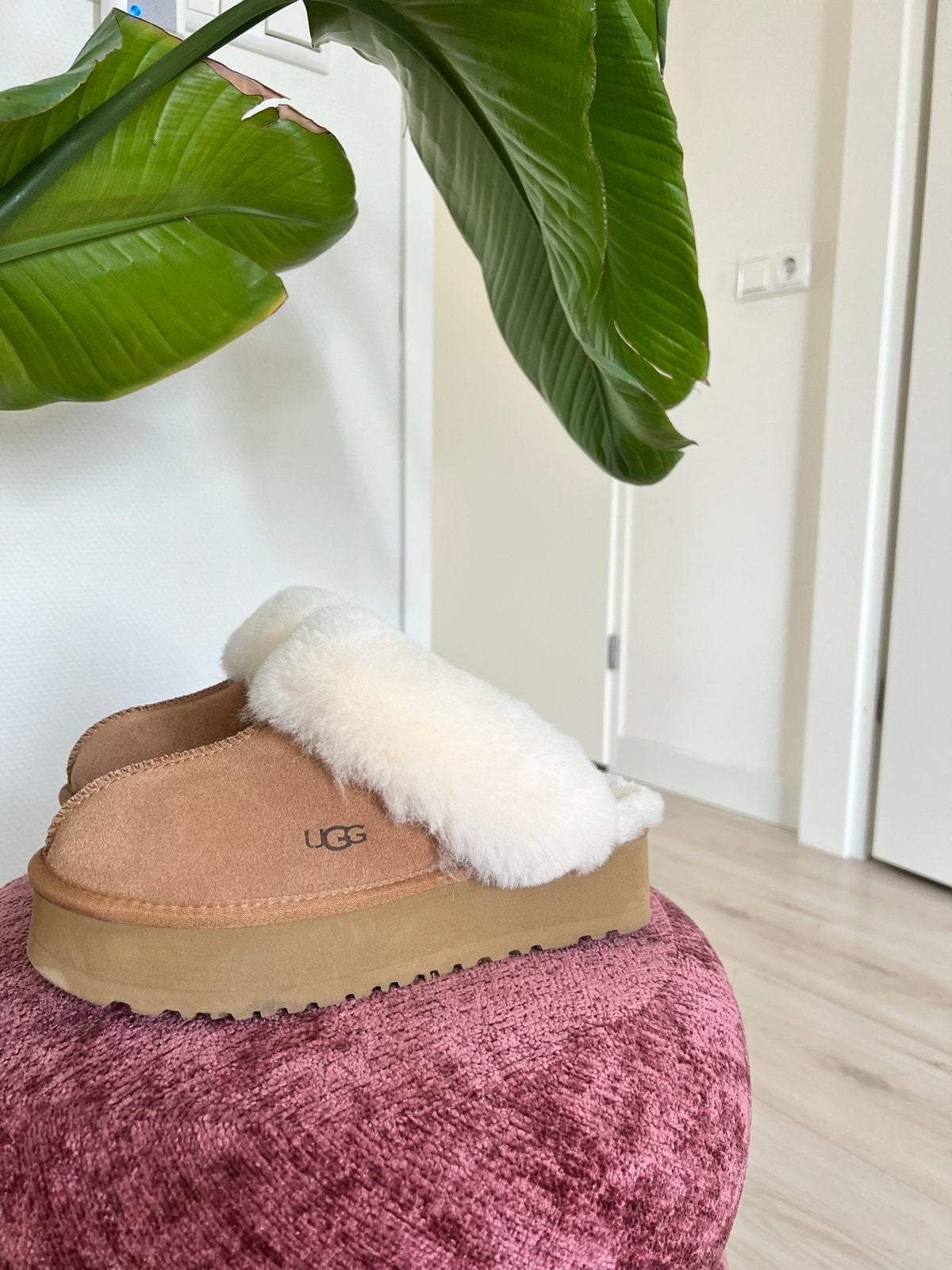 Ugg pantoffels disquette chestnut maat 38, Ophalen of Verzenden, Zo goed als nieuw, Bruin, Pantoffels of Sloffen