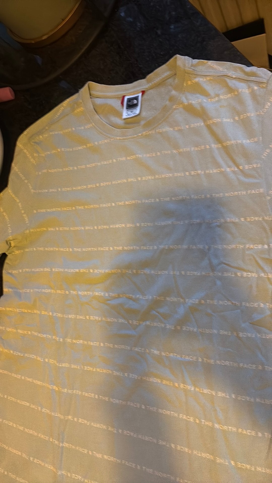 t shirt The North Face lichtblauw heren S, Ophalen of Verzenden, Zo goed als nieuw, Blauw