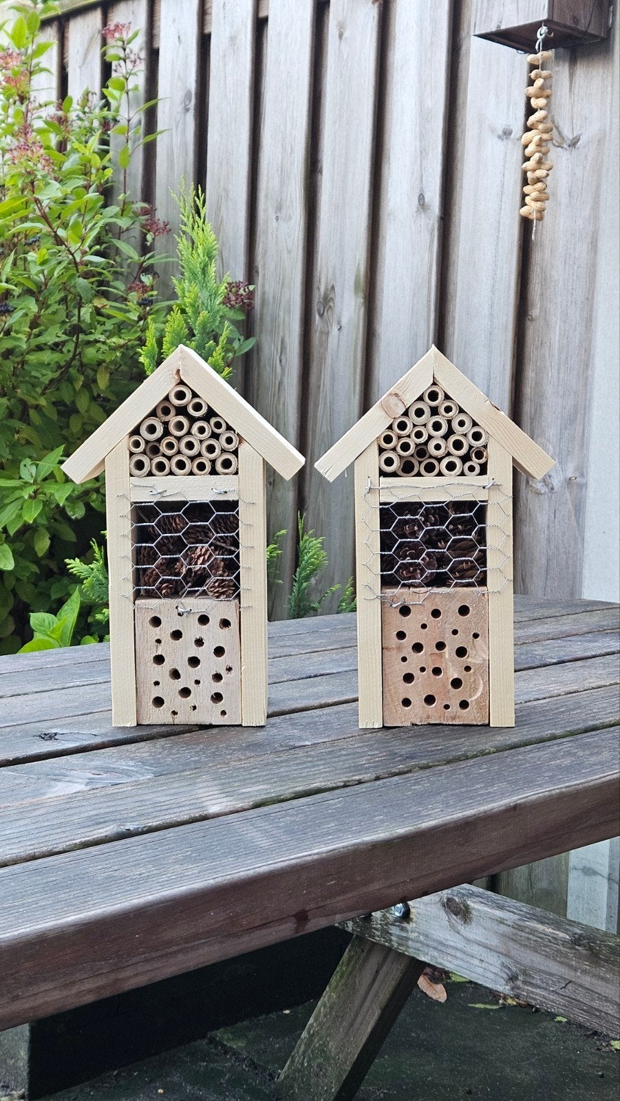 Insectenhotel - Afgetimmerd of als bouwpakket, Ophalen of Verzenden, Nieuw