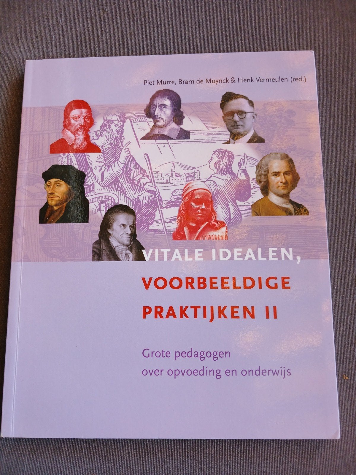 Vitale idealen, voorbeeldige praktijken II, Ophalen of Verzenden, Zo goed als nieuw, Sociale wetenschap