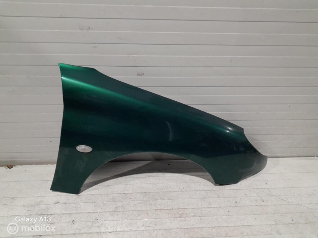 Spatscherm Peugeot 206, Auto-onderdelen, Gebruikt, Ophalen of Verzenden