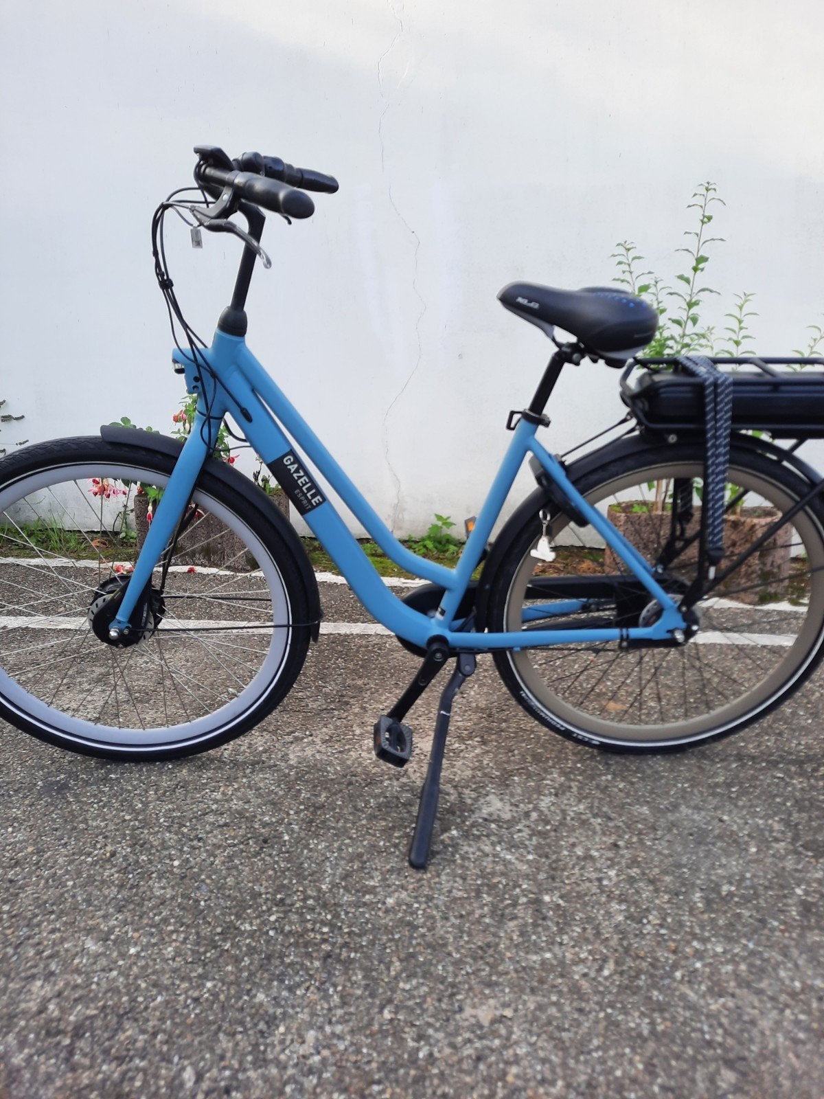 gazelle esprit 2020, Ophalen, Gazelle