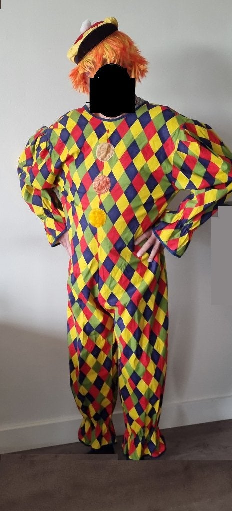 Carnaval PAK ***  compleet  ***    dus met Pruik en Pet, Ophalen of Verzenden, Gedragen, Maat 52/54 (L), Carnaval