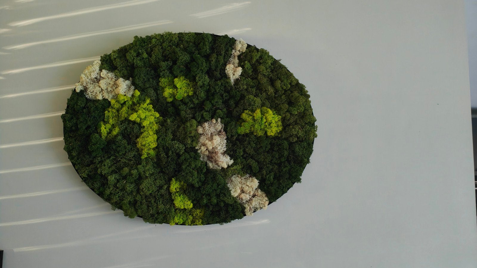Uniek Handgemaakt Ovaal Mosschilderij - 90x70 cm, Huis en Inrichting, Woonaccessoires | Wanddecoraties, Nieuw, Ophalen