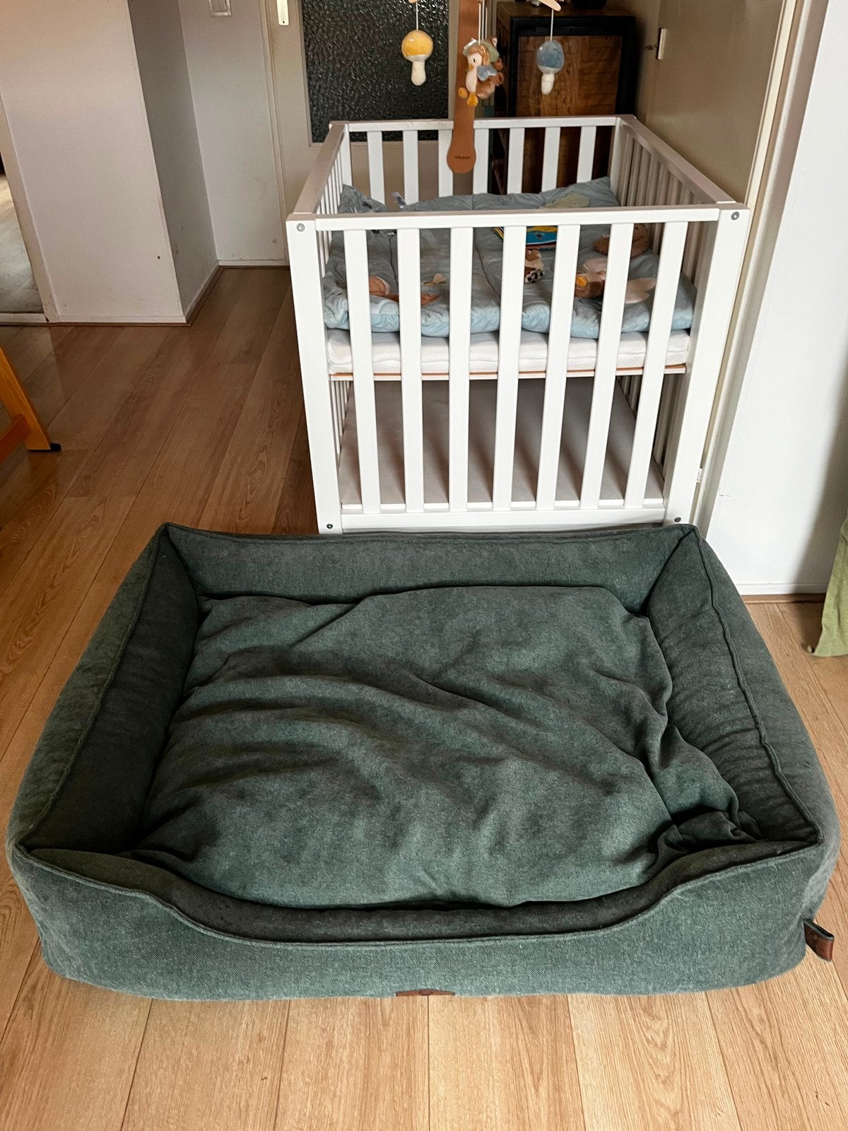 Orthopedische Hondenmand Boony XL Green 120x90x29 cm ZGAN, Dieren en Toebehoren, Ophalen, Zo goed als nieuw, Overige