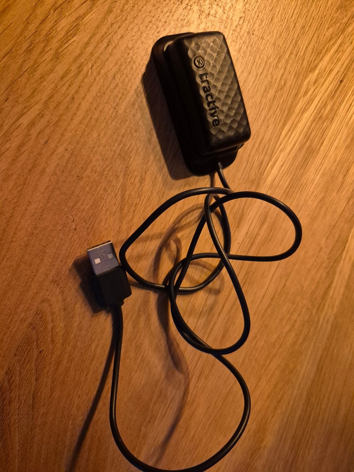 tractive adapter, alleen batterij en stekker, Ophalen of Verzenden