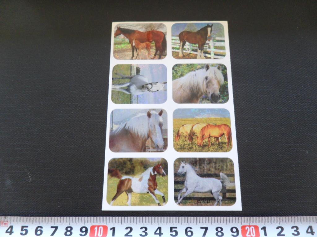 sticker set Paard Paarden  GD067, Ophalen, Zo goed als nieuw