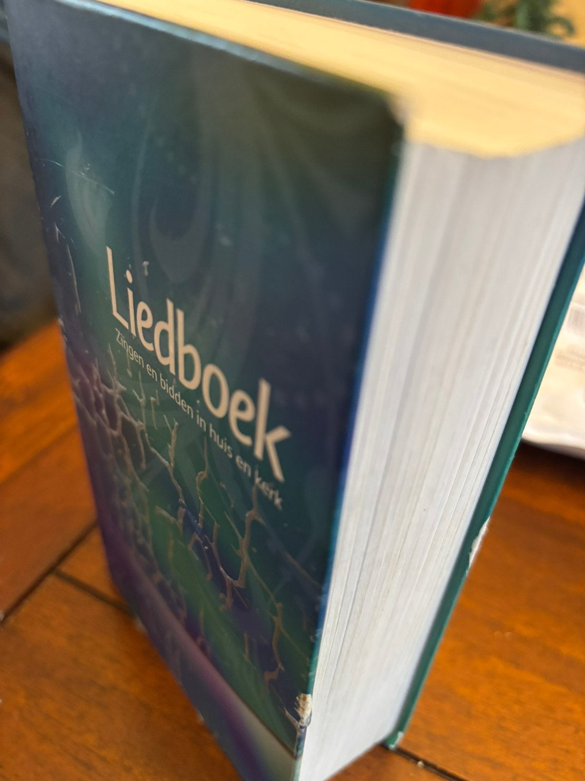 LIEDBOEK ZINGEN EN BIDDEN IN HUIS EN KERK LEESLINT (foto’s), Ophalen of Verzenden, Gelezen, Christendom | Protestants