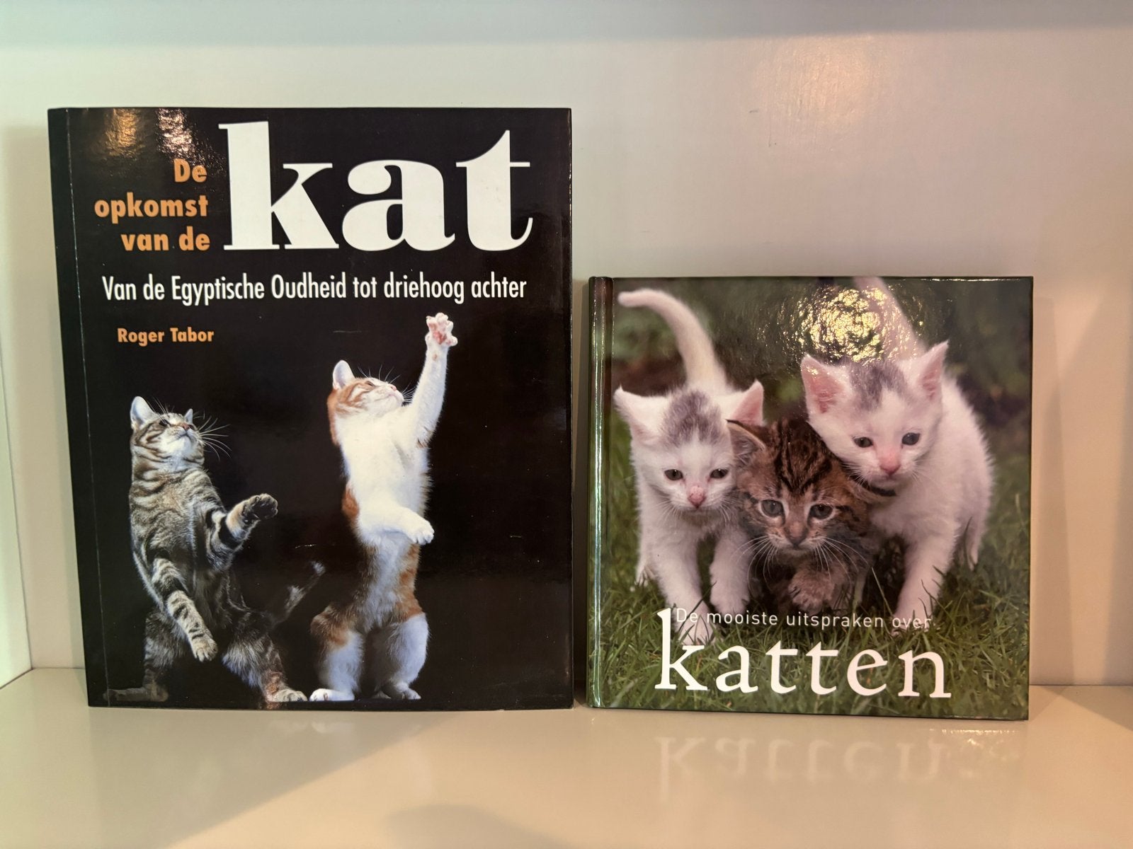 2 Kattenboeken: 'De opkomst van de kat' & 'Katten', Ophalen of Verzenden, Gelezen, Katten