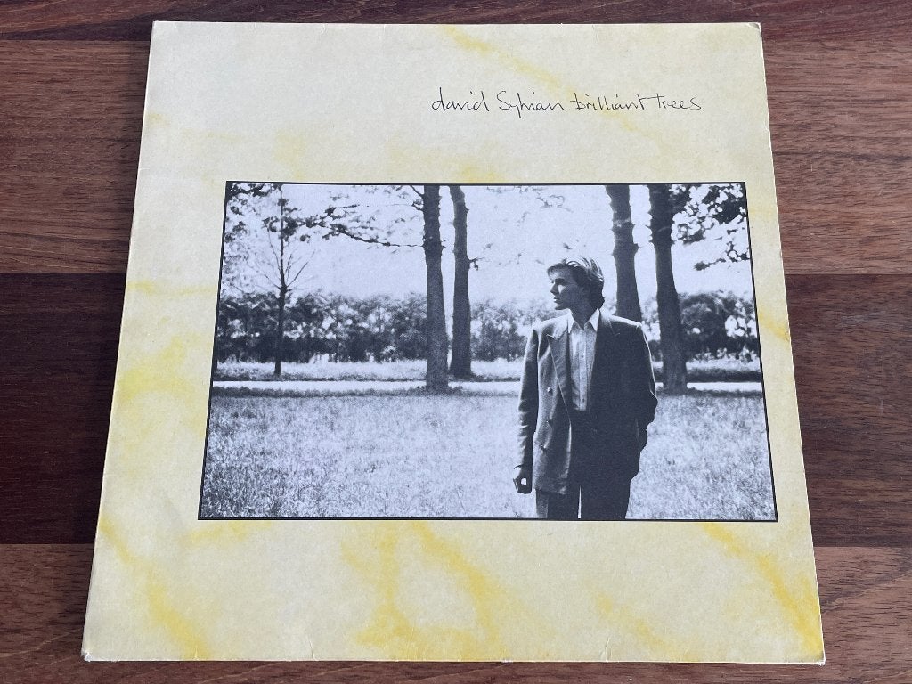 Vinyl LP David Sylvian Brilliant Trees ( Japan ) UK, LP, Gebruikt, Pop, Ophalen of Verzenden