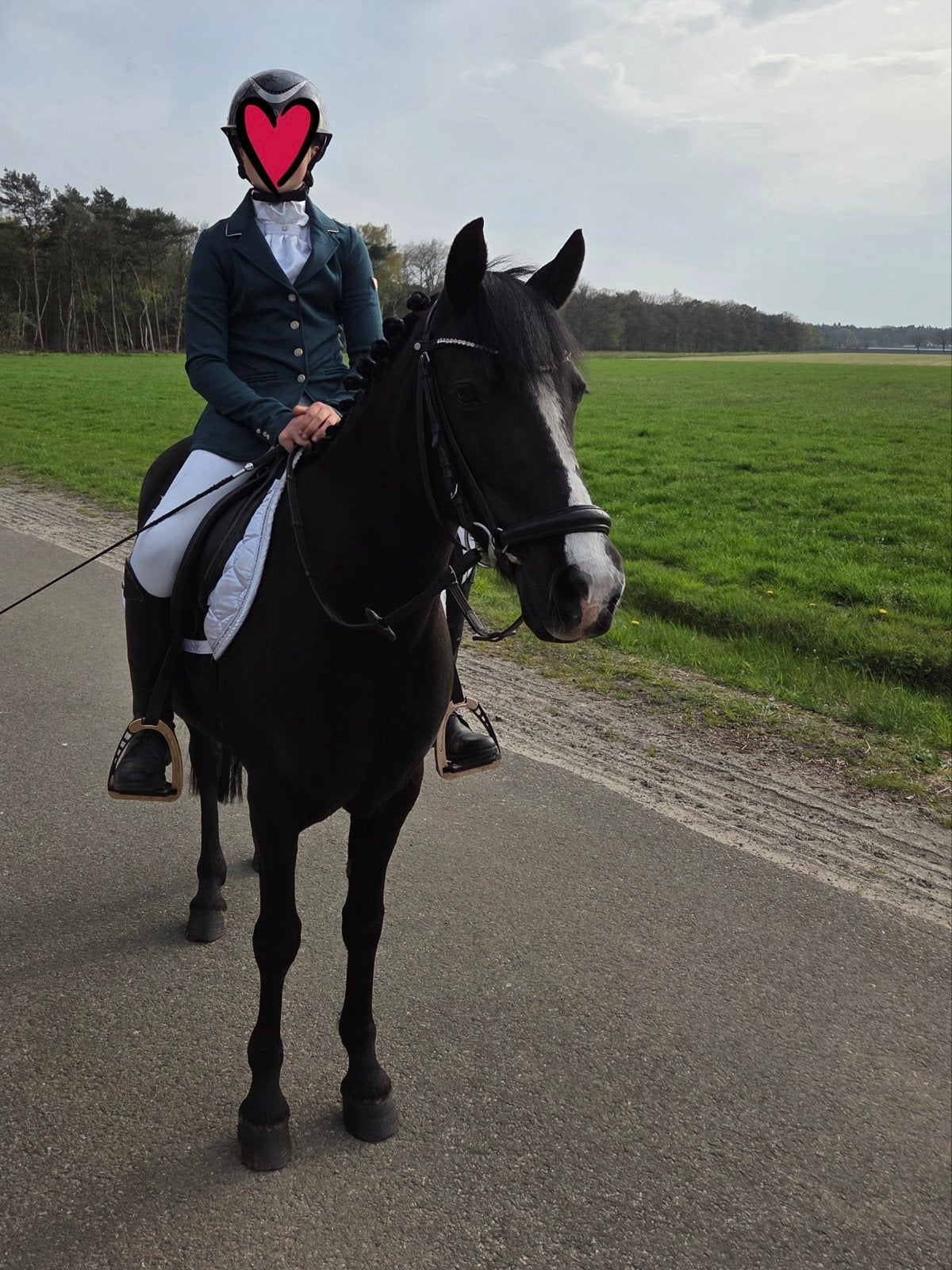 Leuke B pony te koop!, B, B pony (1.17m tot 1.27m), 11 jaar of ouder, Recreatiepony